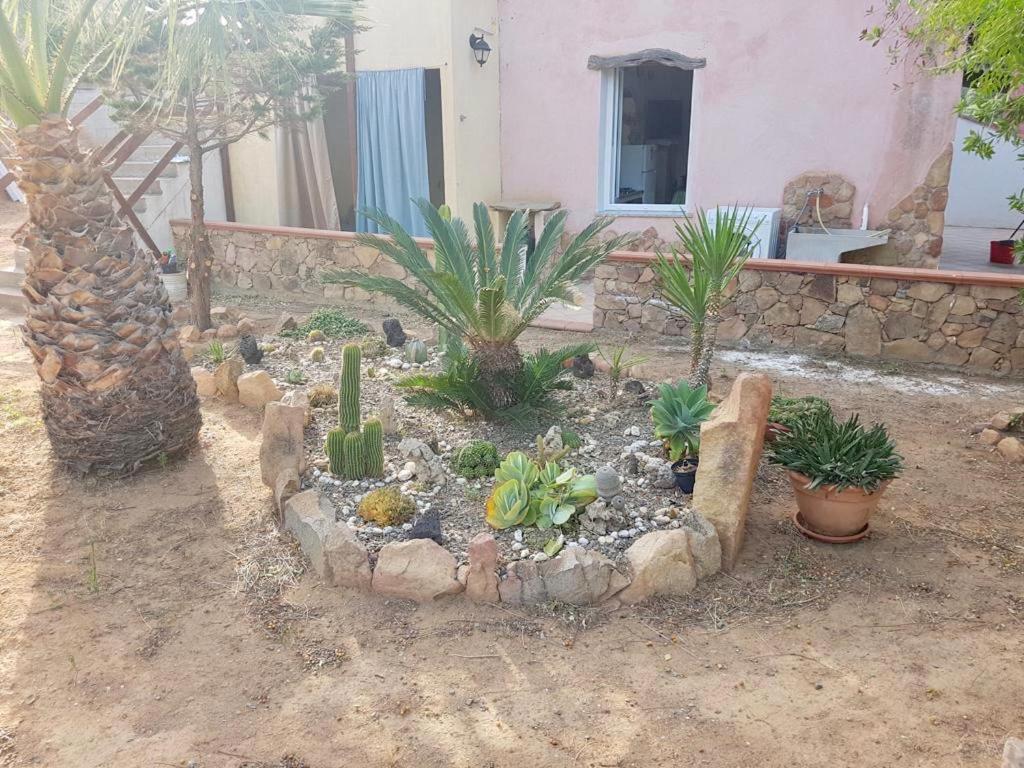 Il Bacio Del Sole Apartment Tertenia Exterior photo
